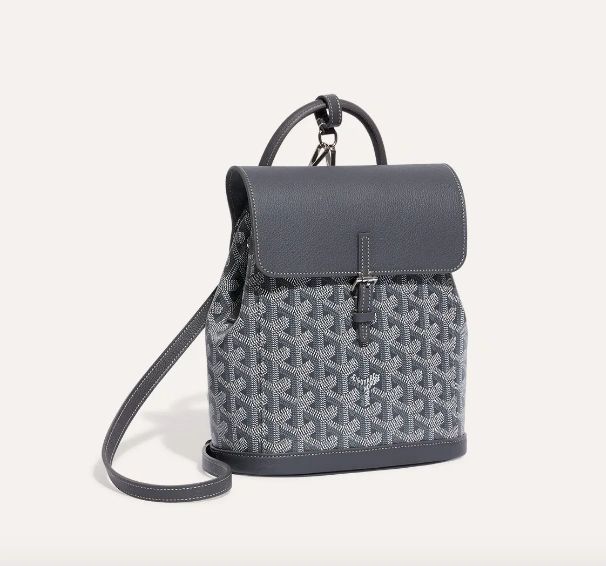 Goyard Calfskin Alpin Mini Backpack grey - Image 2