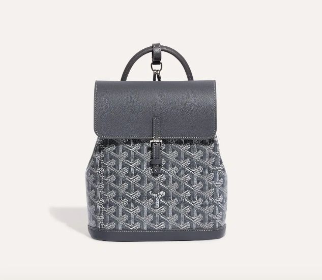 Goyard Calfskin Alpin Mini Backpack grey