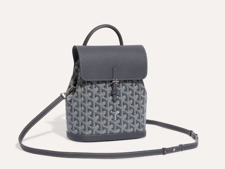 Goyard Calfskin Alpin Mini Backpack grey - Image 3