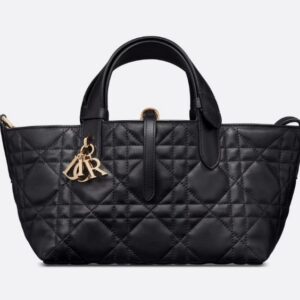 Dior Small Toujours Bag
