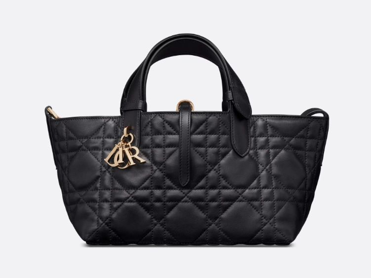 Dior Small Toujours Bag