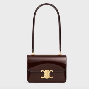 Celine Teen Garance bag in patent dark brown