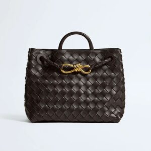 Bottega Veneta Small Andiamo color Fondant